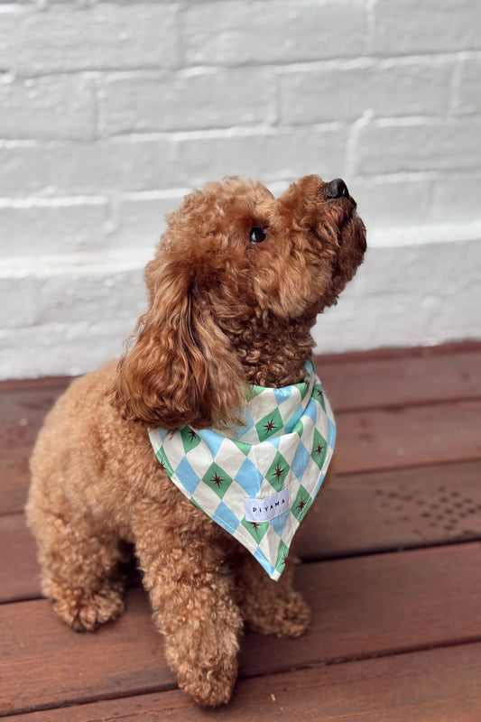 Dog Bandana - Starlight