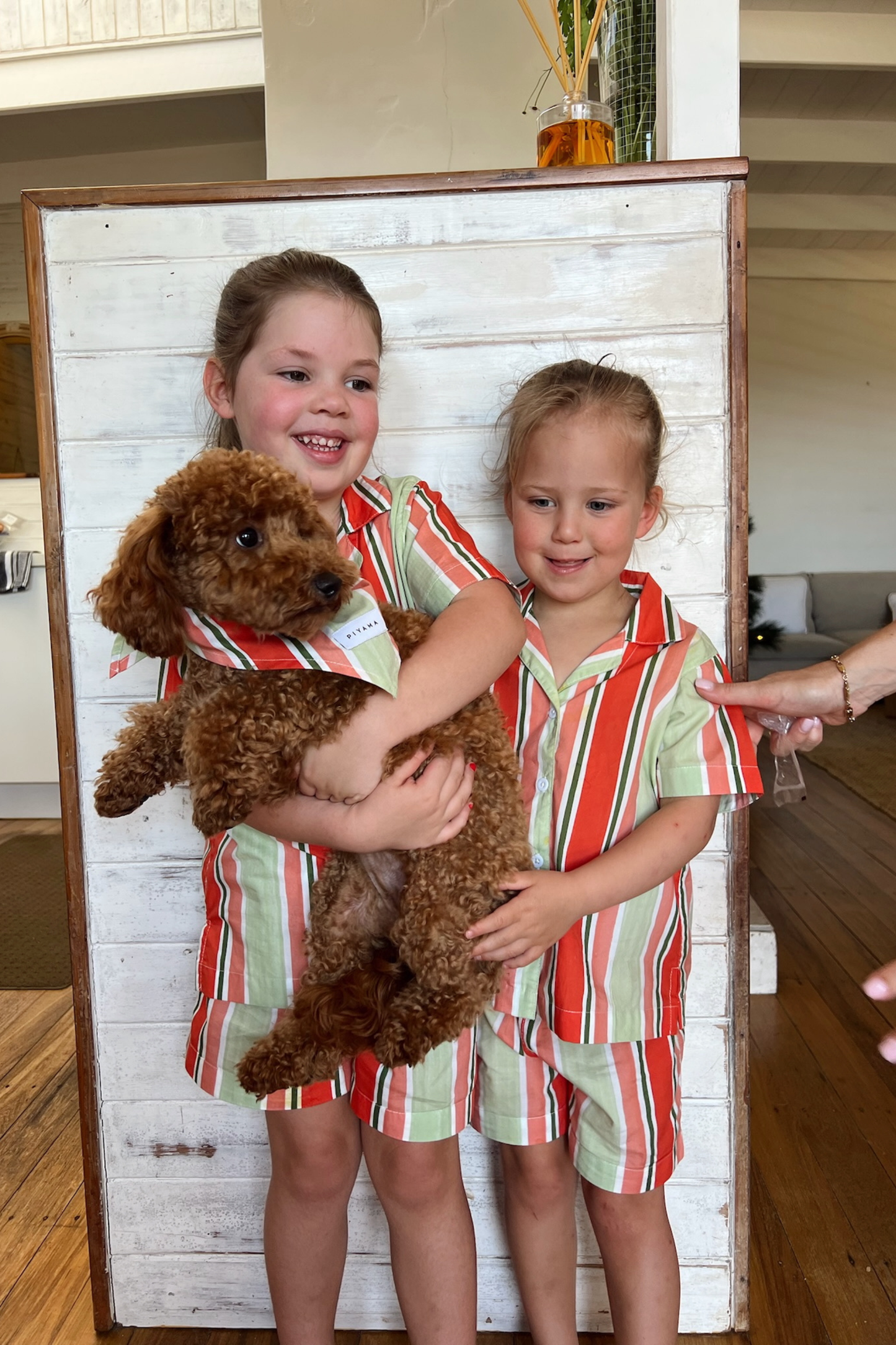 Dog Bandana - Cotton Modal - Holiday Stripe