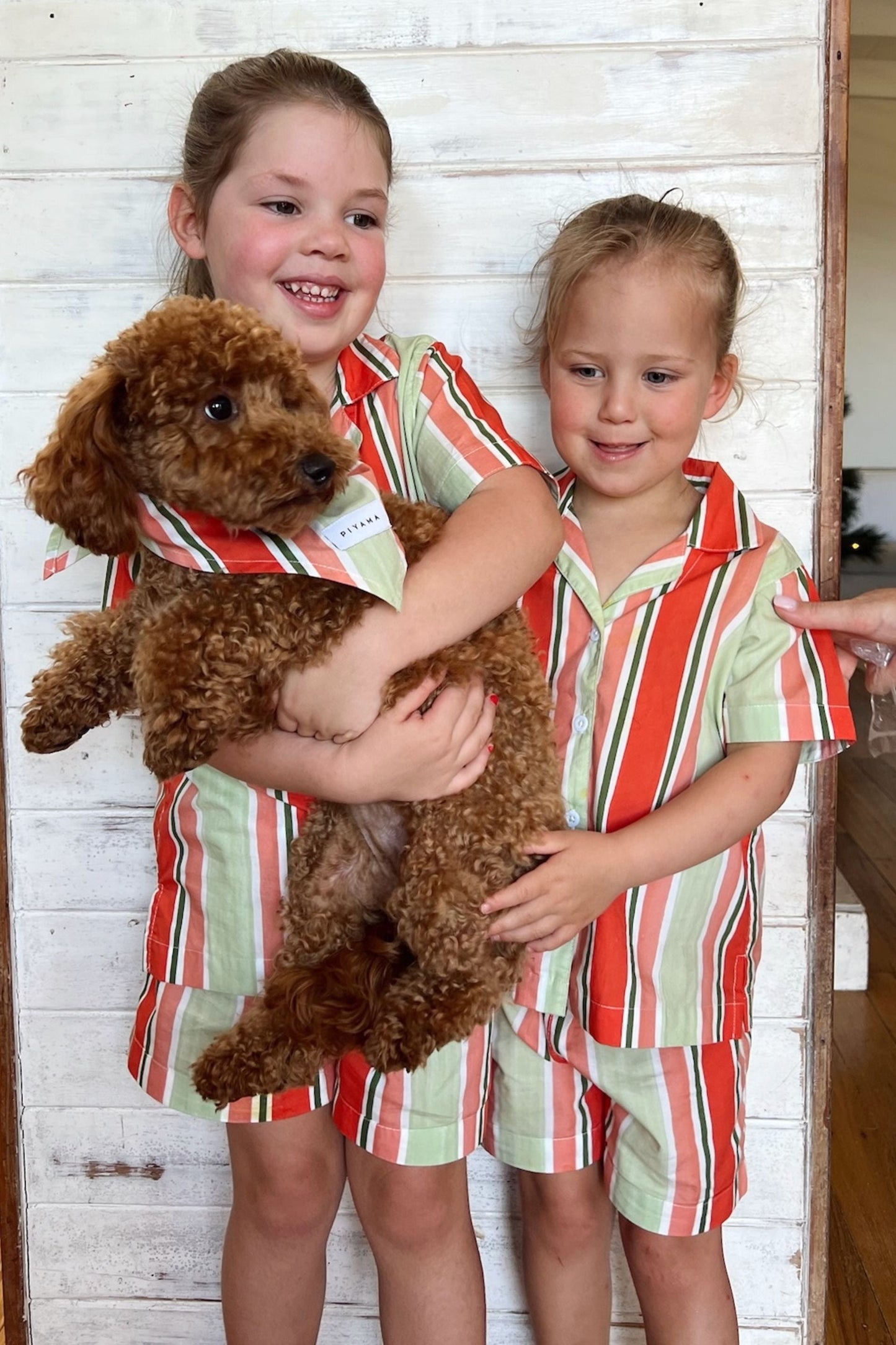 Dog Bandana - Cotton Modal - Holiday Stripe